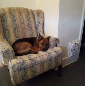 Meet your Posher, Roderick